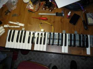 Poly 800_9